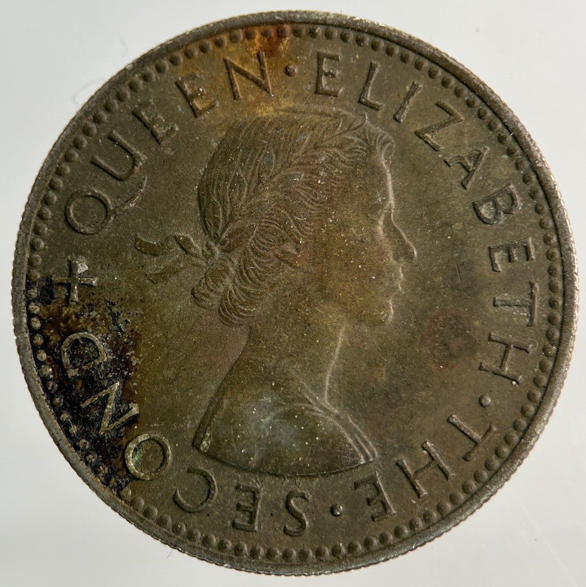 1956 New Zealand Shilling Coin | Fine Collectable Grade