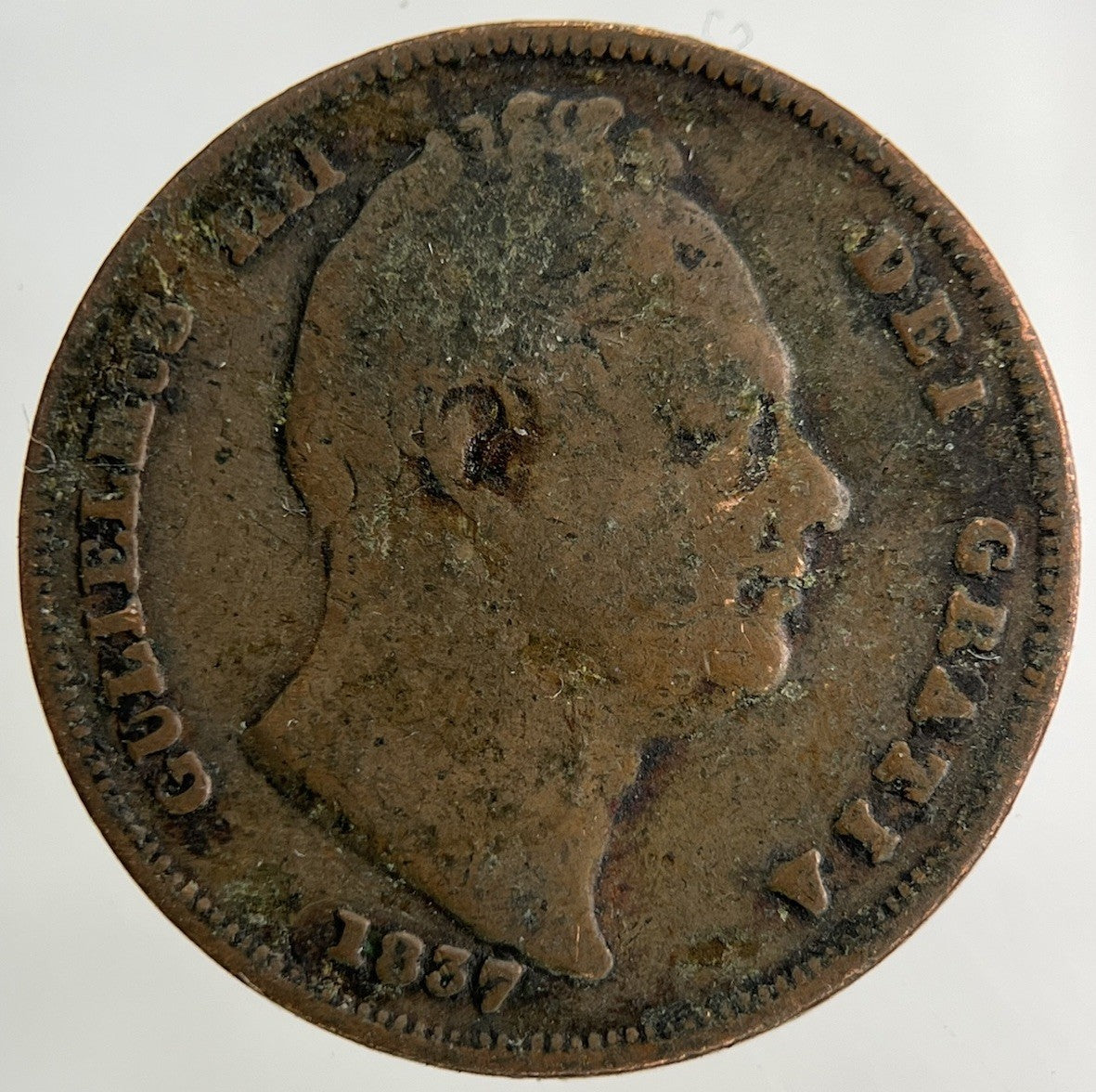 1837 William IV Farthing Coin | Collectable Grade