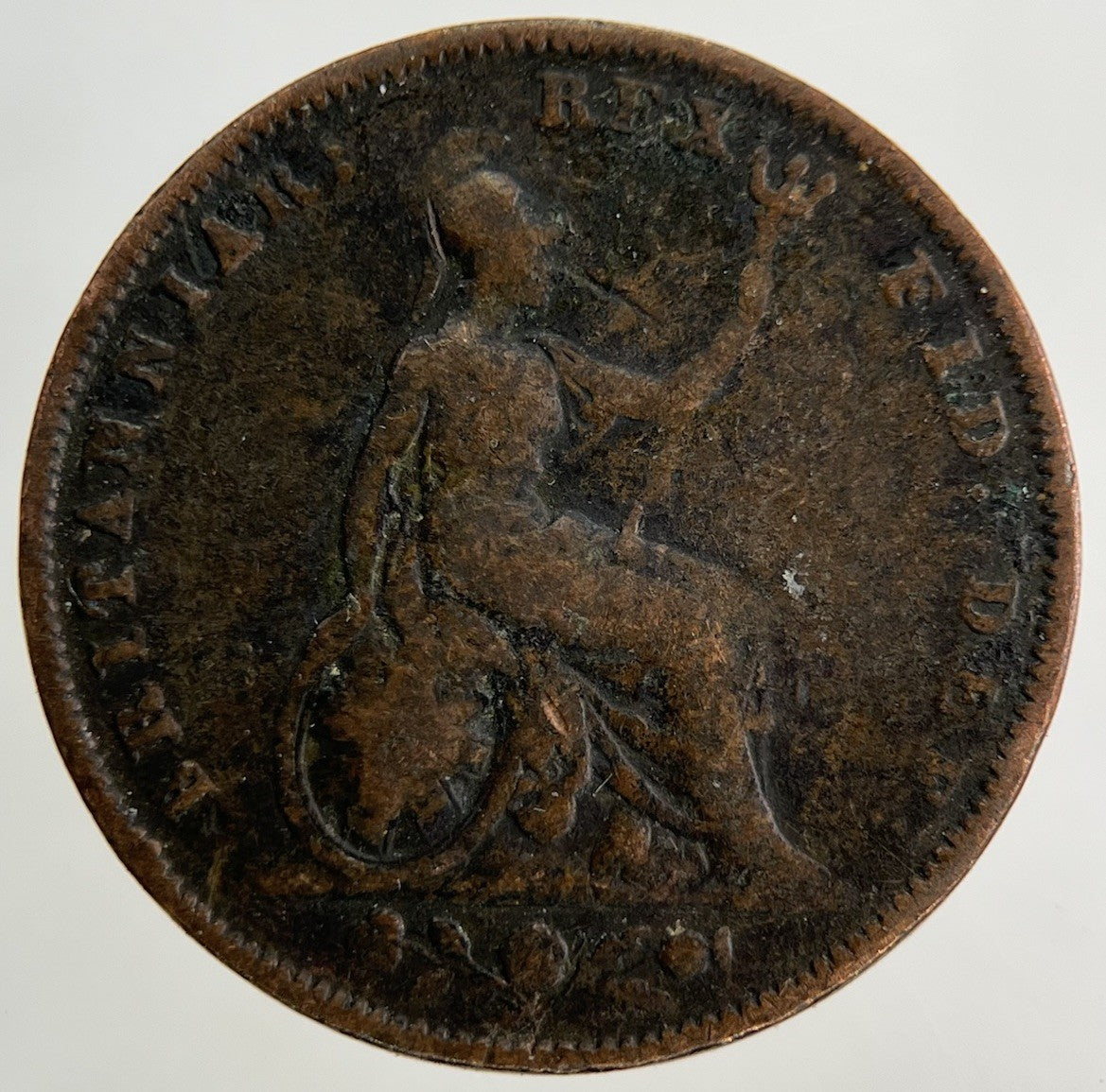 1834 William IV Farthing Coin | Collectable Grade