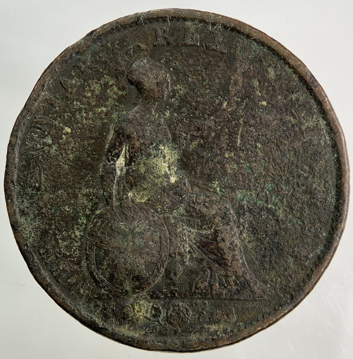 1831 William IV Half - Penny Coin | Collectable Grade