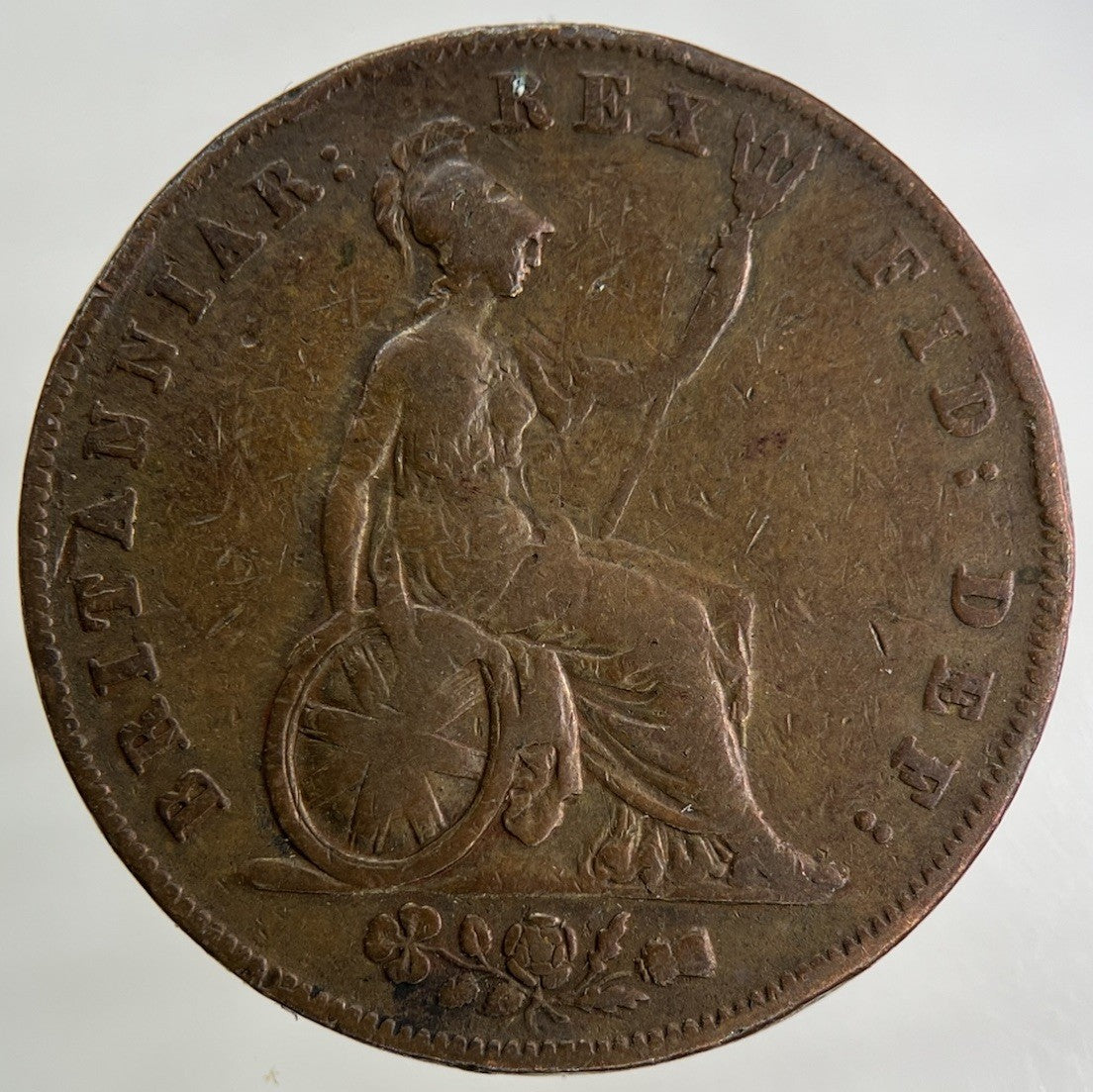1826 George IV Half - Penny Coin | Fine Collectable Grade