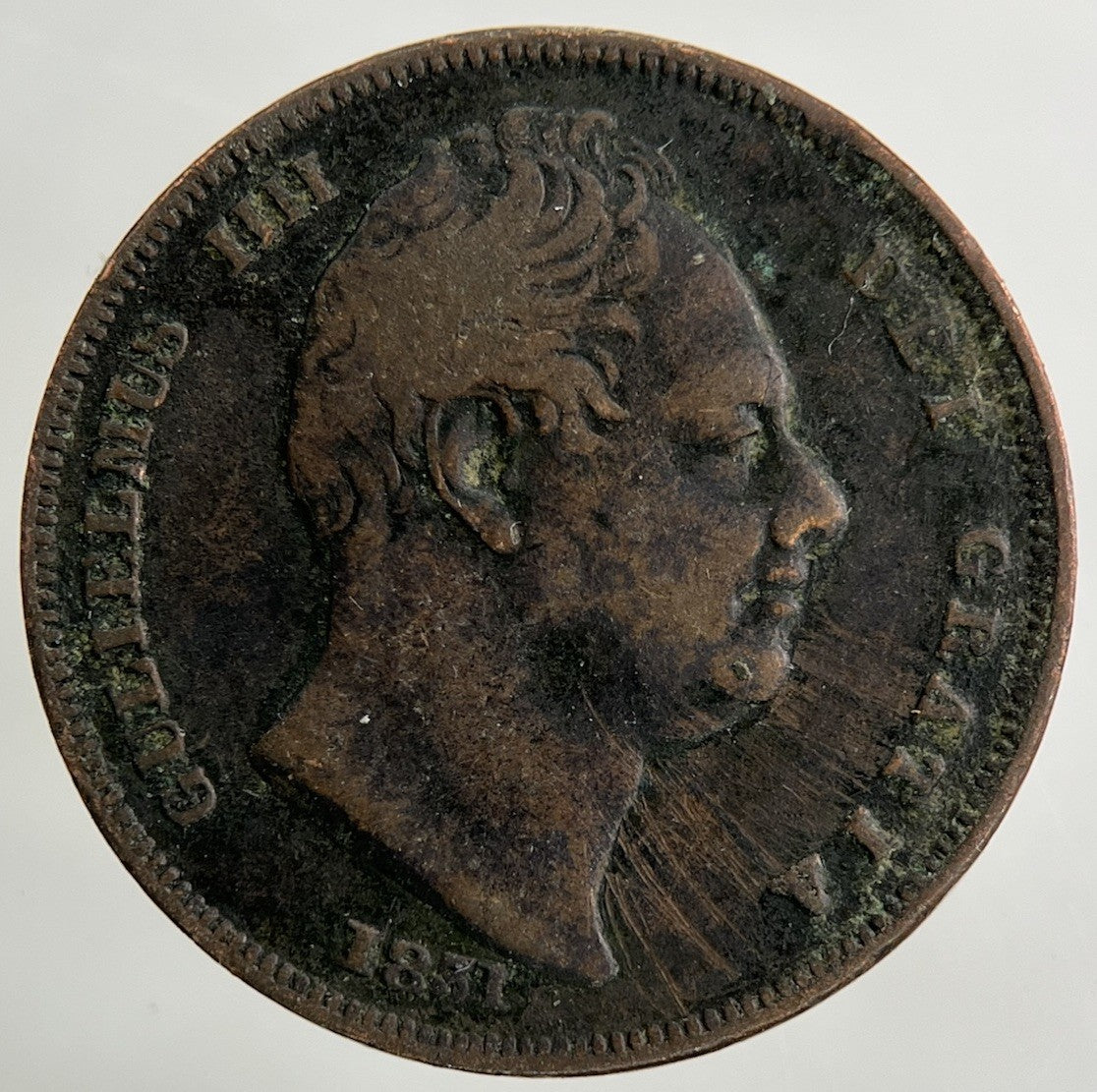1831 William IV Farthing Coin | Fine Collectable Grade