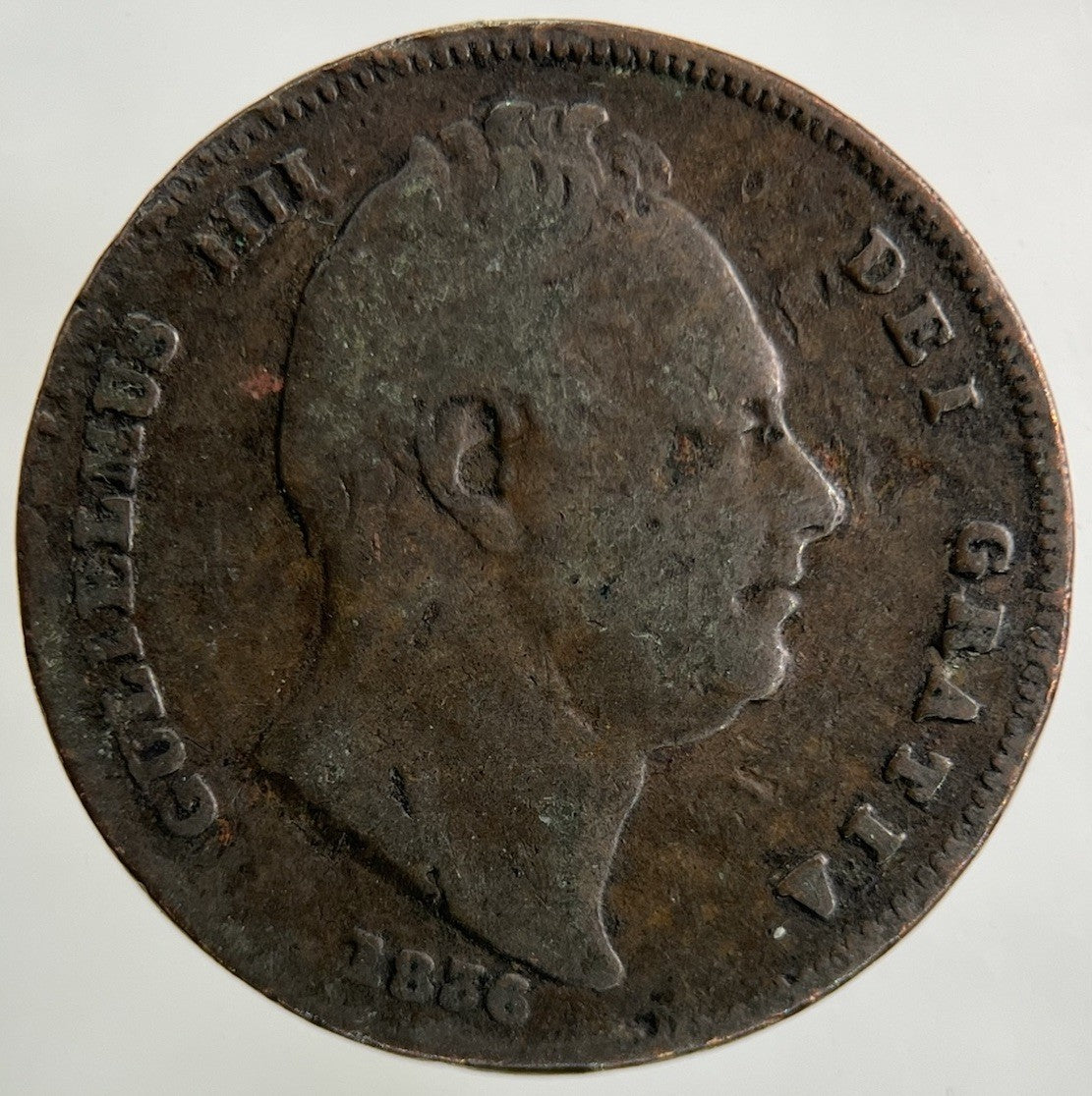 1836 William IV Farthing Coin | Collectable Grade