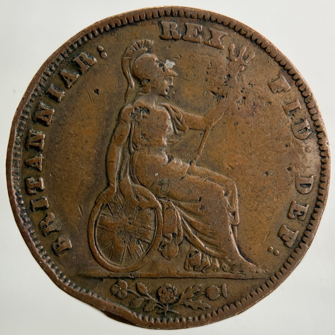 1837 William IV Farthing Coin | Collectable Grade