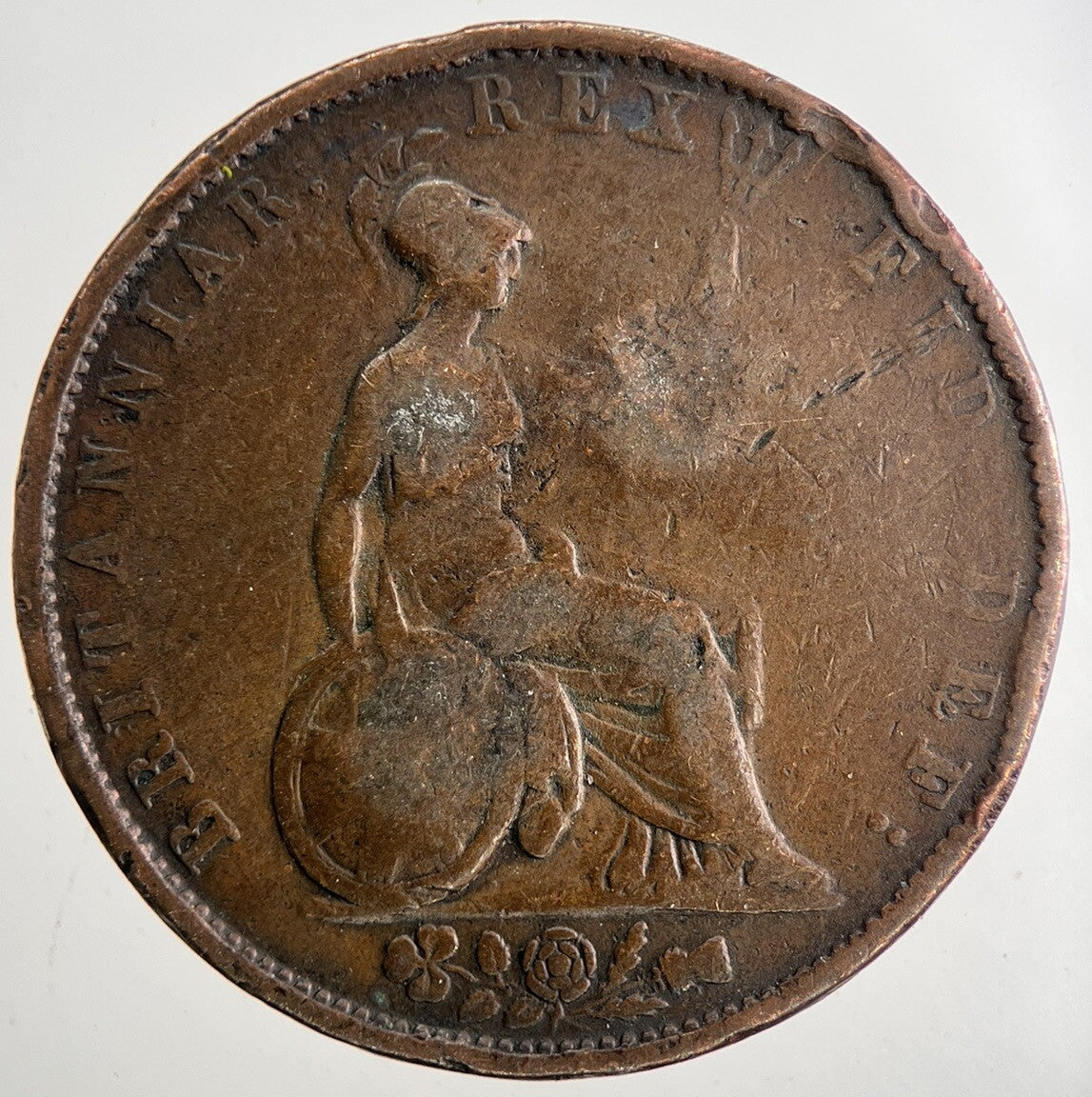 1831 Stamped William IV Half - Penny Coin | Fine Collectable Grade | a9623