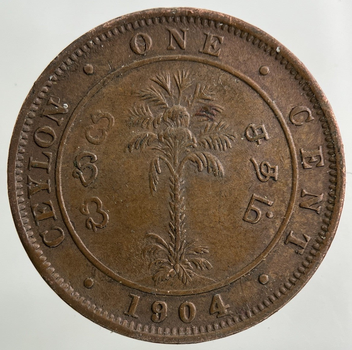 1904 Ceylon One Cent Coin | Very High Grade