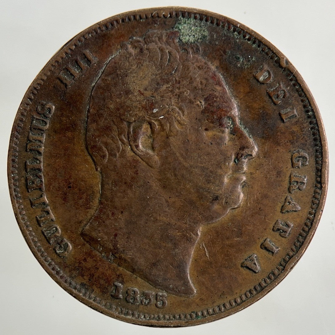 1835 William IV Farthing Coin | Fine Collectable Grade