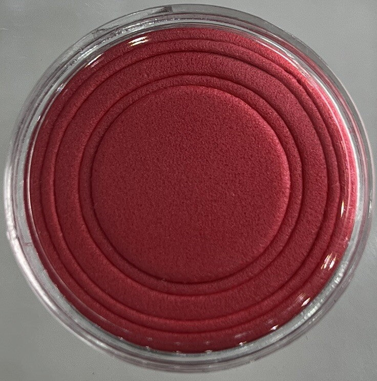 100 x Coin Storage Protective Clear 30mm Capsule + Red Adjustable Foam Insert