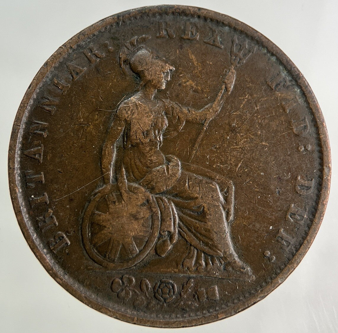 1831 William IV Half - Penny Coin | Fine Collectable Grade
