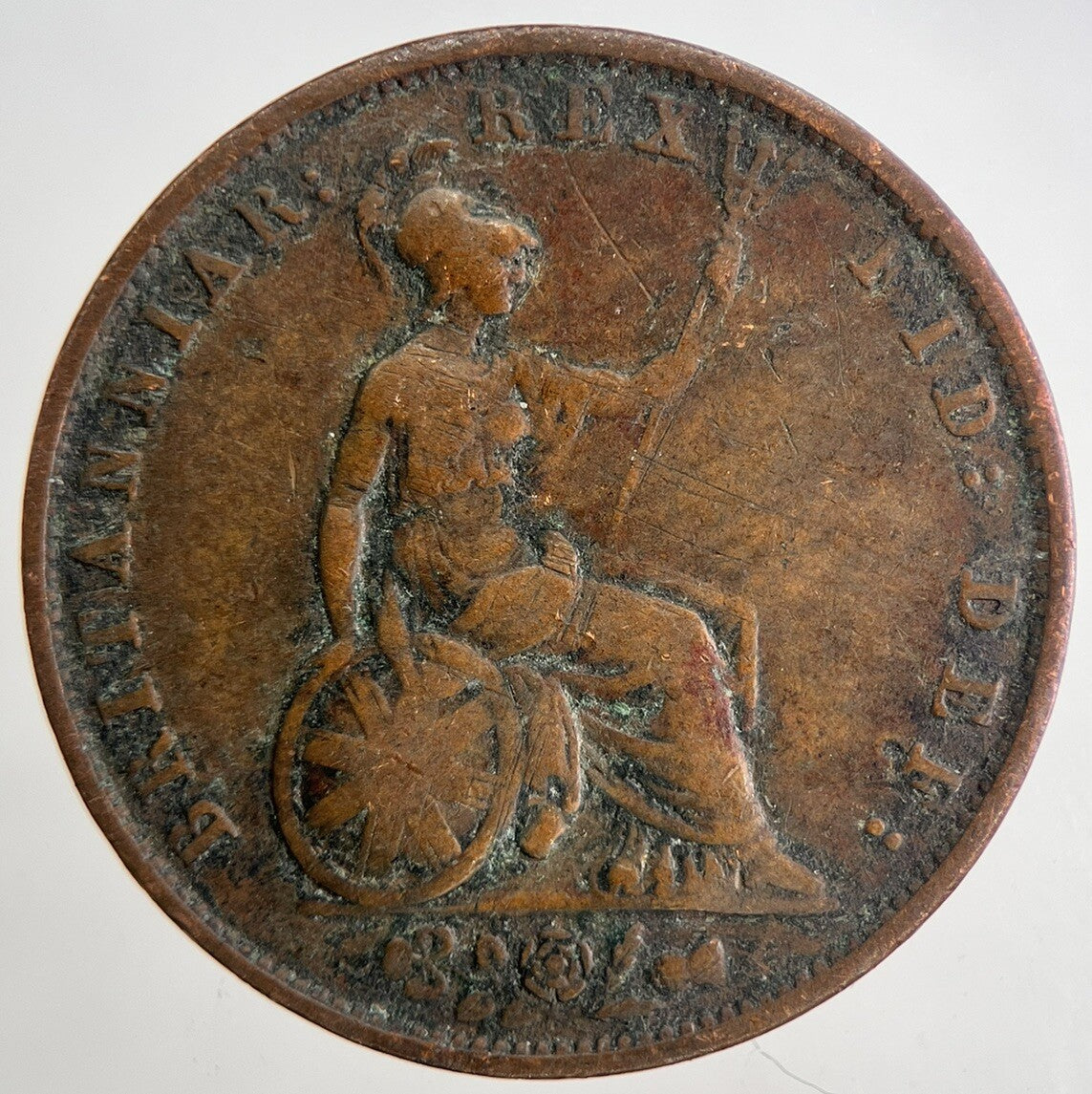1834 William IV Half - Penny Coin | Fine Collectable Grade | a6803