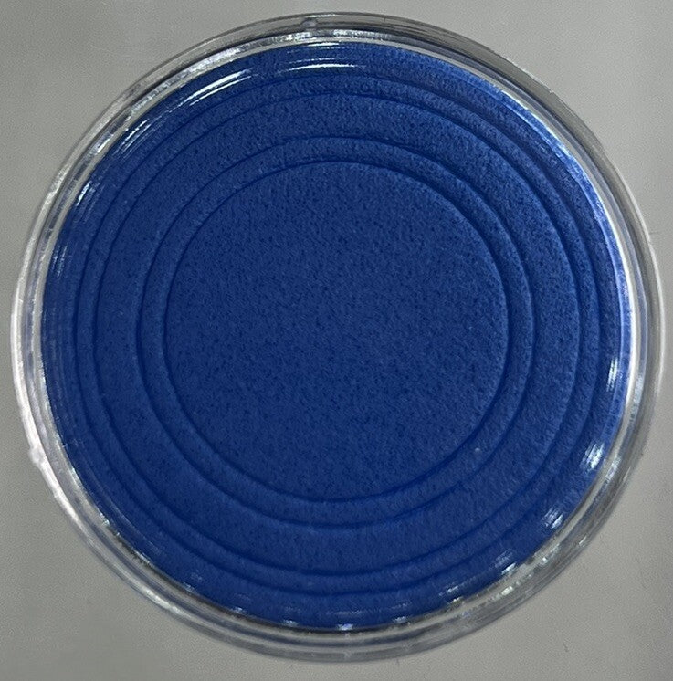 20 x Coin Storage Protective Clear 30mm Capsule + Blue Adjustable Foam Insert