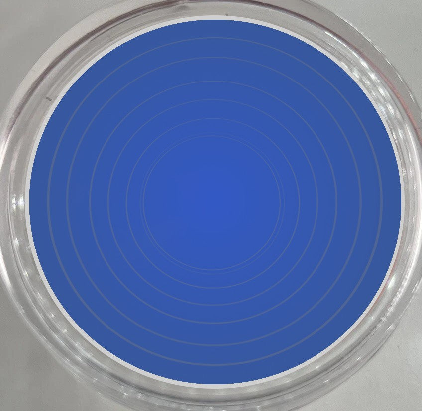 10 x 40mm Coin Storage Protective Clear Capsule + Blue Adjustable Foam Insert