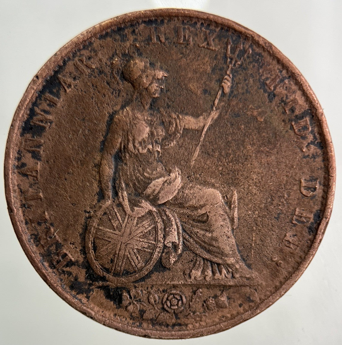 1831 William IV Half - Penny Coin | Very High Grade