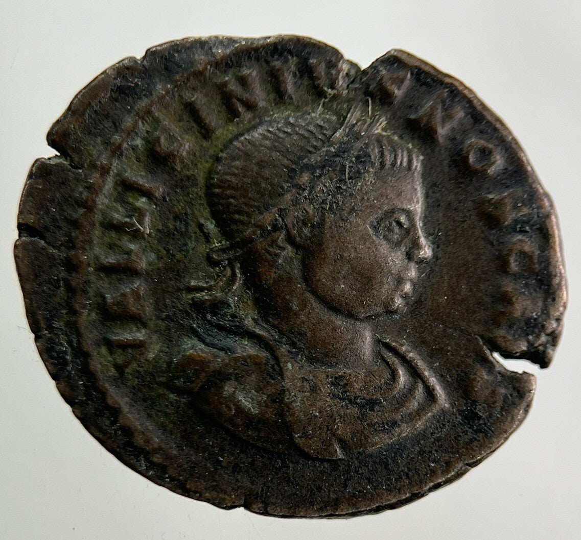 Ancient Roman Bronze Coin | Fine Collectable Grade