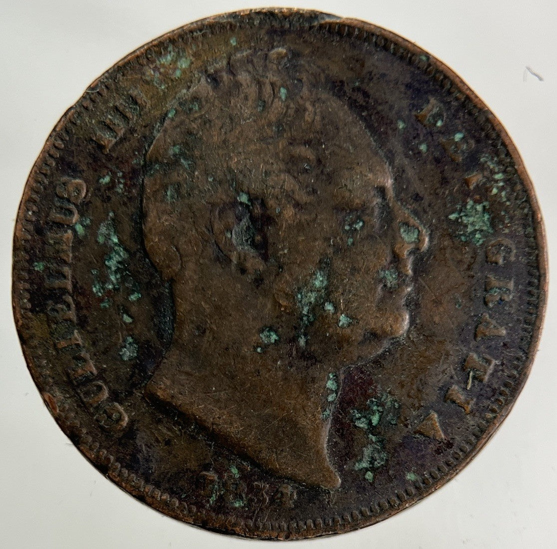 1834 William IV Farthing Coin | Collectable Grade