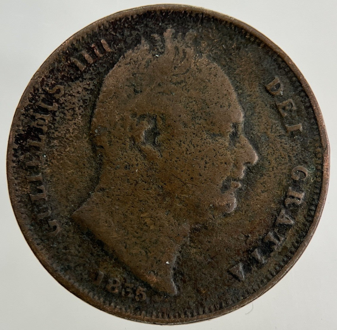 1835 William IV Farthing Coin | Collectable Grade
