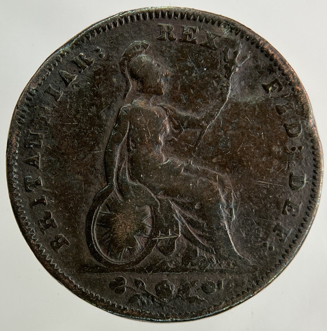 1834 William IV Farthing Coin | Collectable Grade