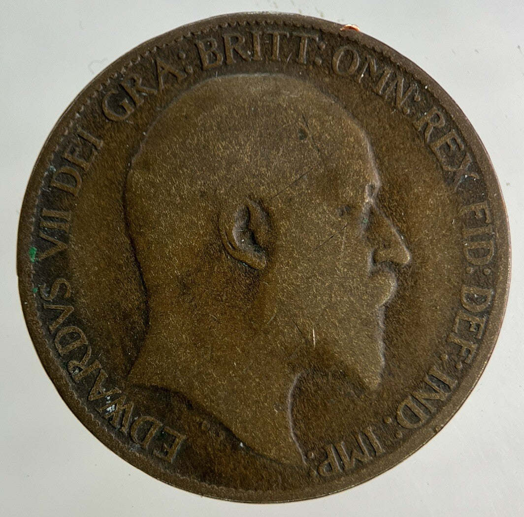1908 Edward VII Half - Penny Coin | Collectable Grade