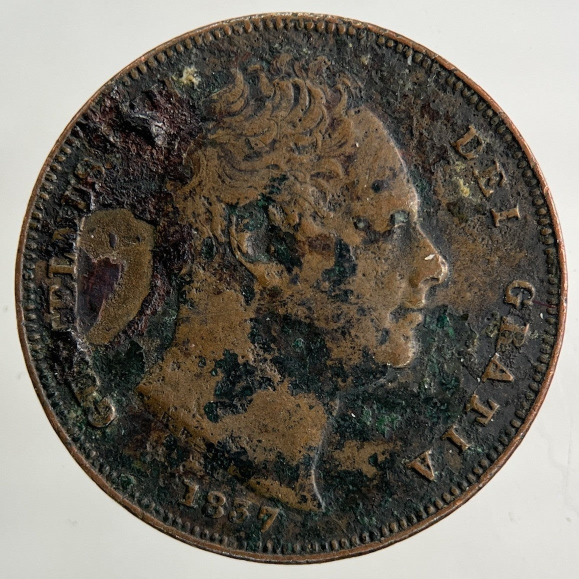 1837 William IV Farthing Coin | Fine Collectable Grade