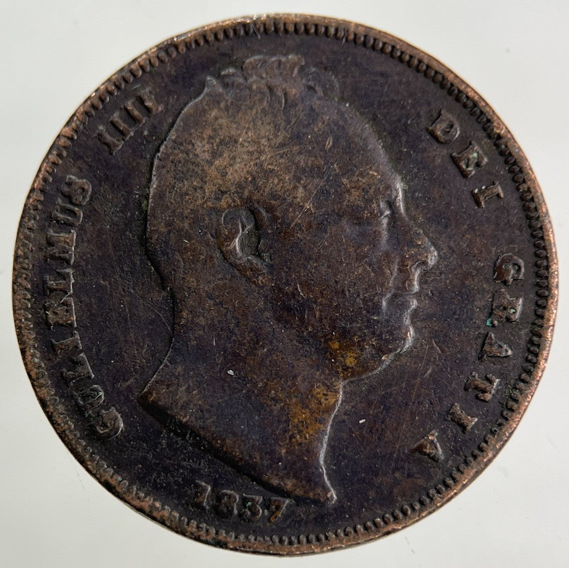 1837 William IV Farthing Coin | Collectable Grade