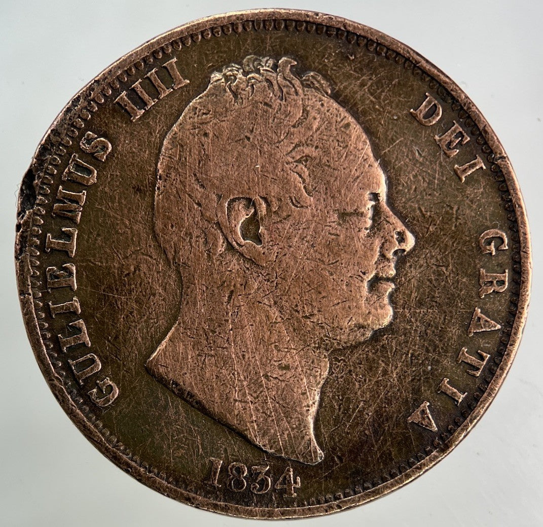 1834 William IV Half - Penny Coin | Collectable Grade