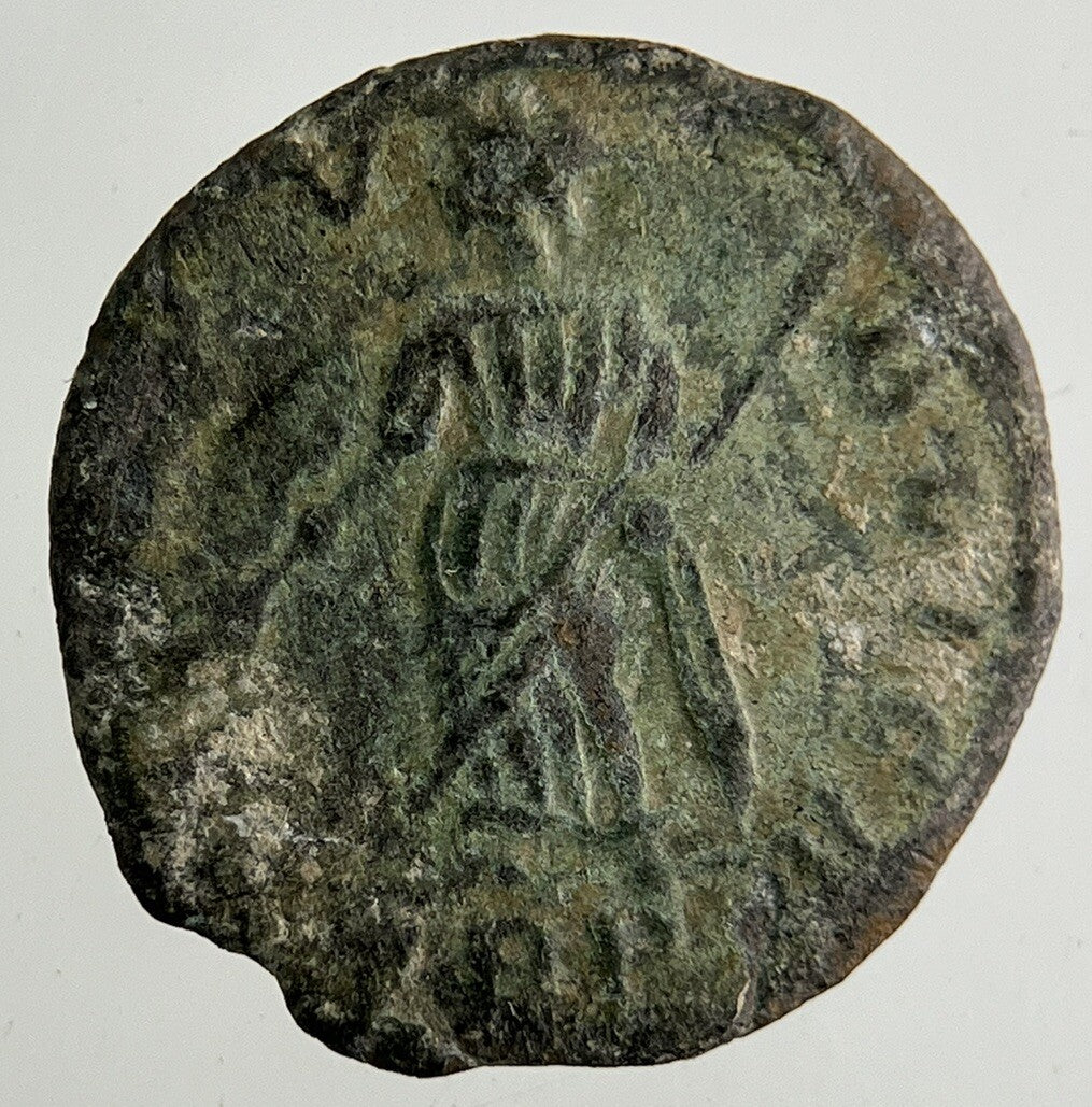 Ancient Roman Bronze Coin | Collectable Grade