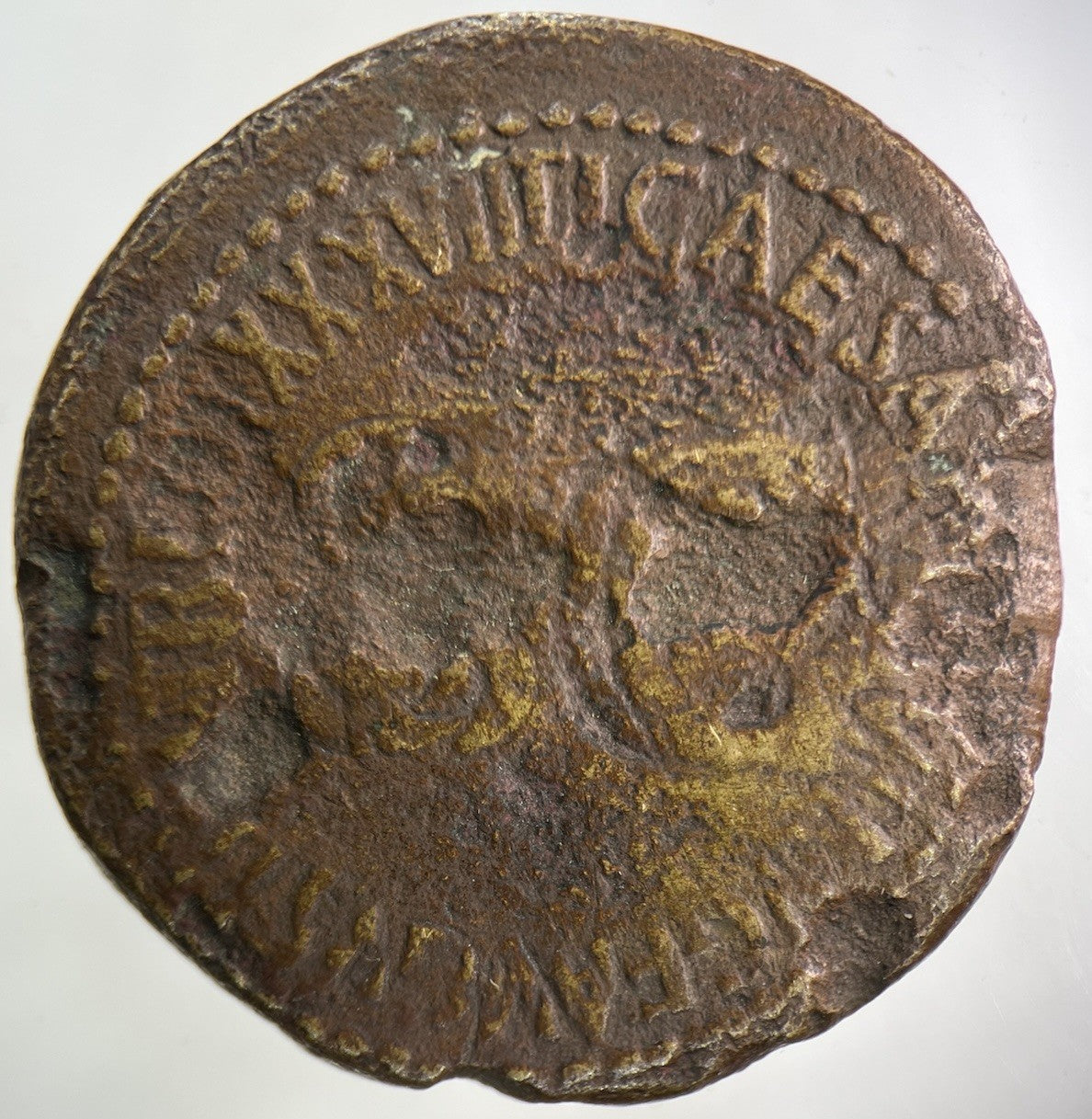 Large 3.5cm Roman Tiberius 14 - 37 AD Brass Sestertius Medal Coin Elephant Chariot