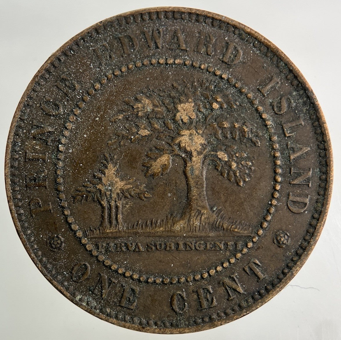 1871 Canada Prince Edward Island One Cent Coin | Fine Collectable Grade