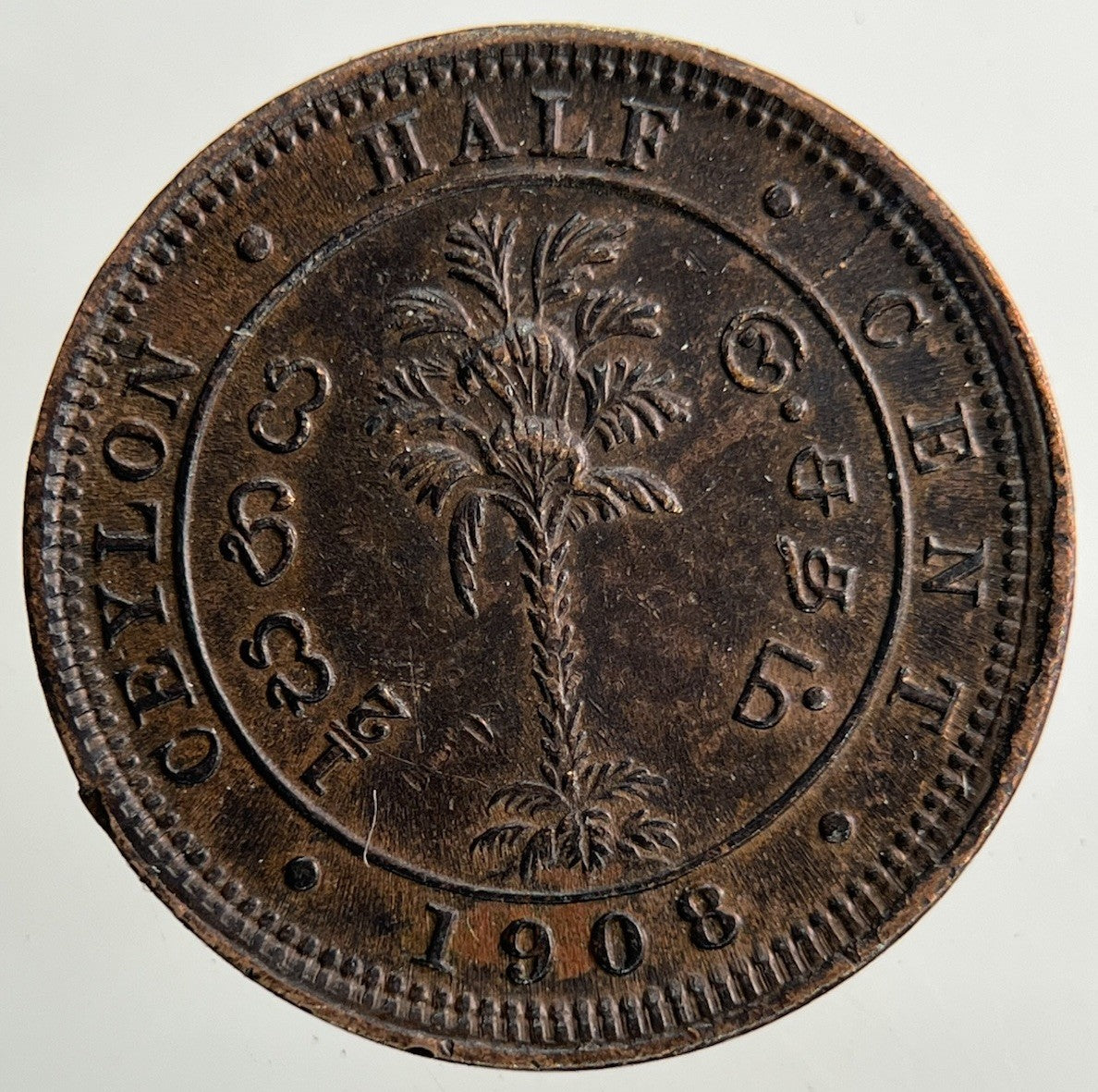 1908 Ceylon Half Cent Coin | Very High Grade