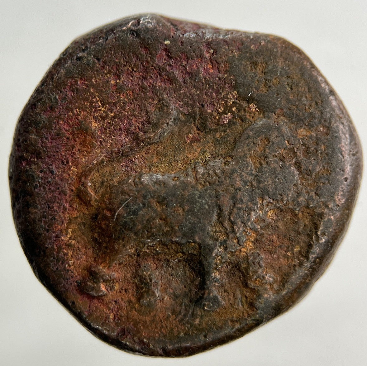 Old India Elephant Paisa 1190 Token Coin | Collectable Grade