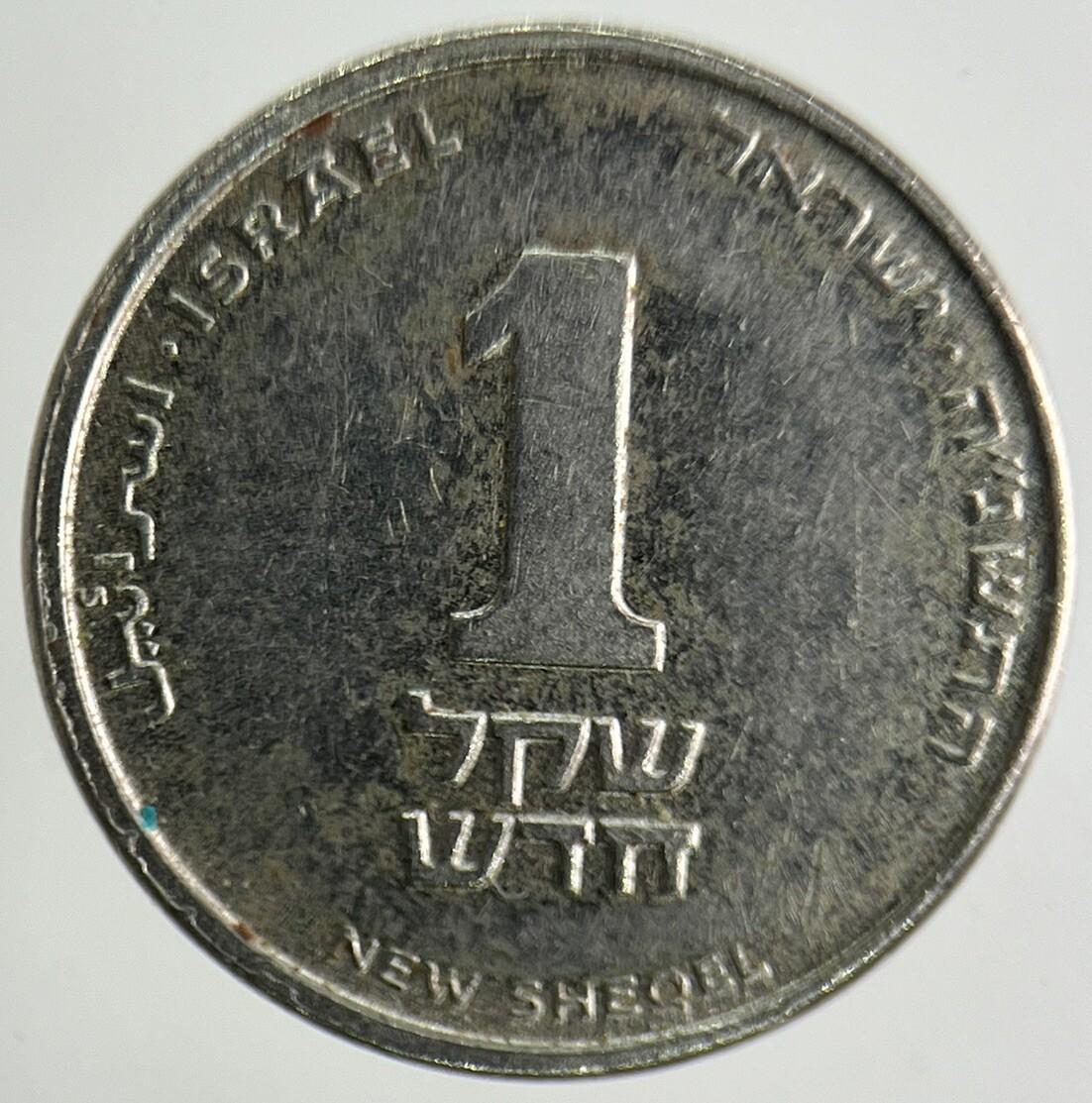 Israel New Sheqel Coin | Fine Collectable Grade