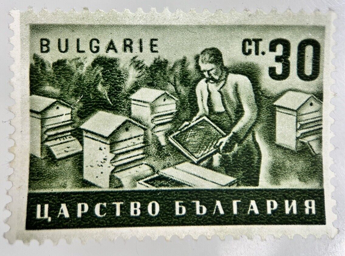 Old Bulgaria Agriculture Cattle 30 Ct Stamp | Collectable Grade