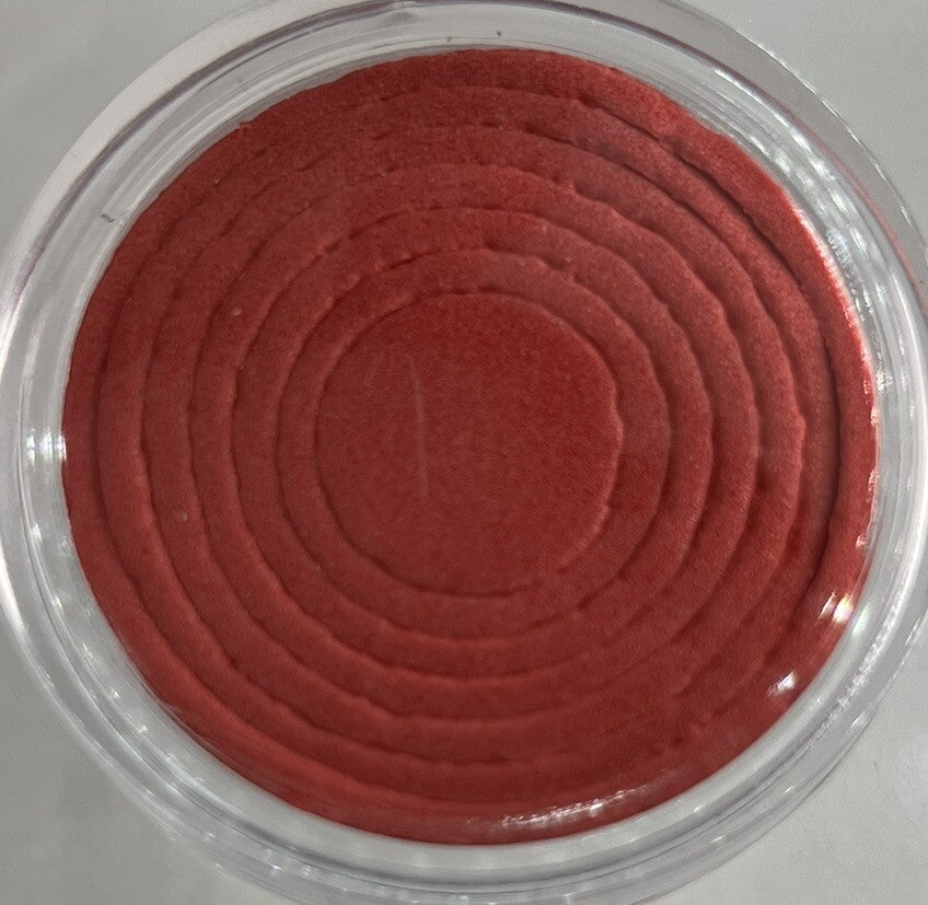 1 x 40mm Coin Storage Protective Clear Capsule + Red Adjustable Foam Insert