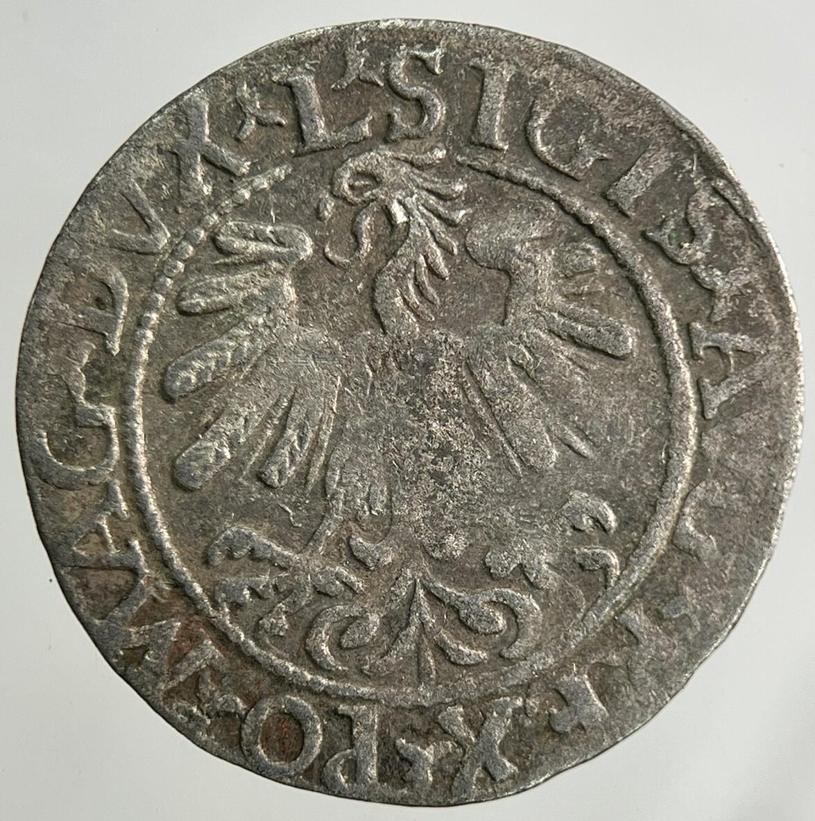 1559 Lithuania / Poland Half Groschen Silver Coin | Fine Collectable Grade