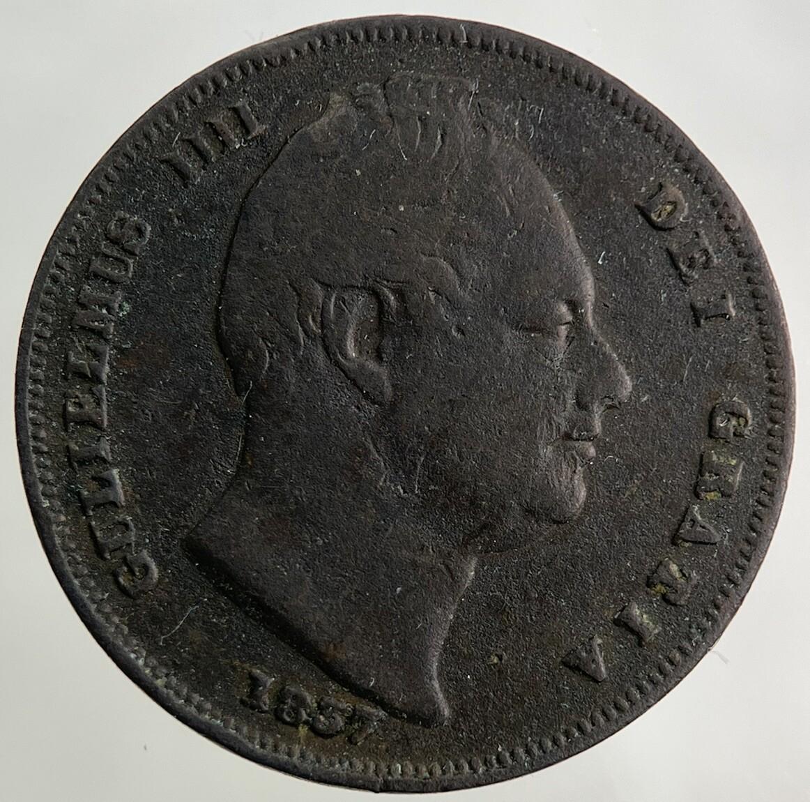 1837 William IV Farthing Coin | Fine Collectable Grade