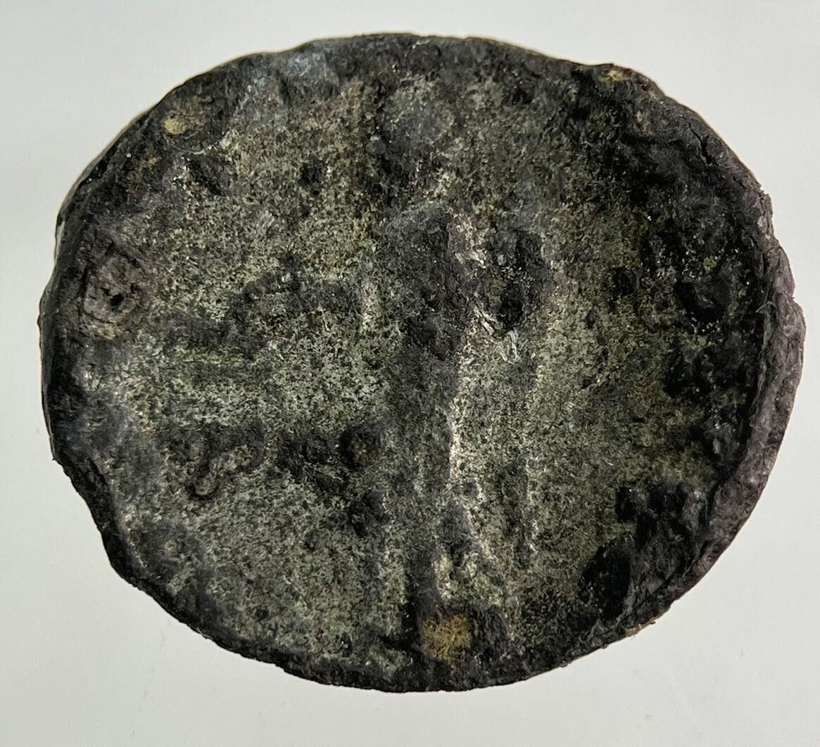 Ancient Roman Silver Denarius Coin | Collectable Grade