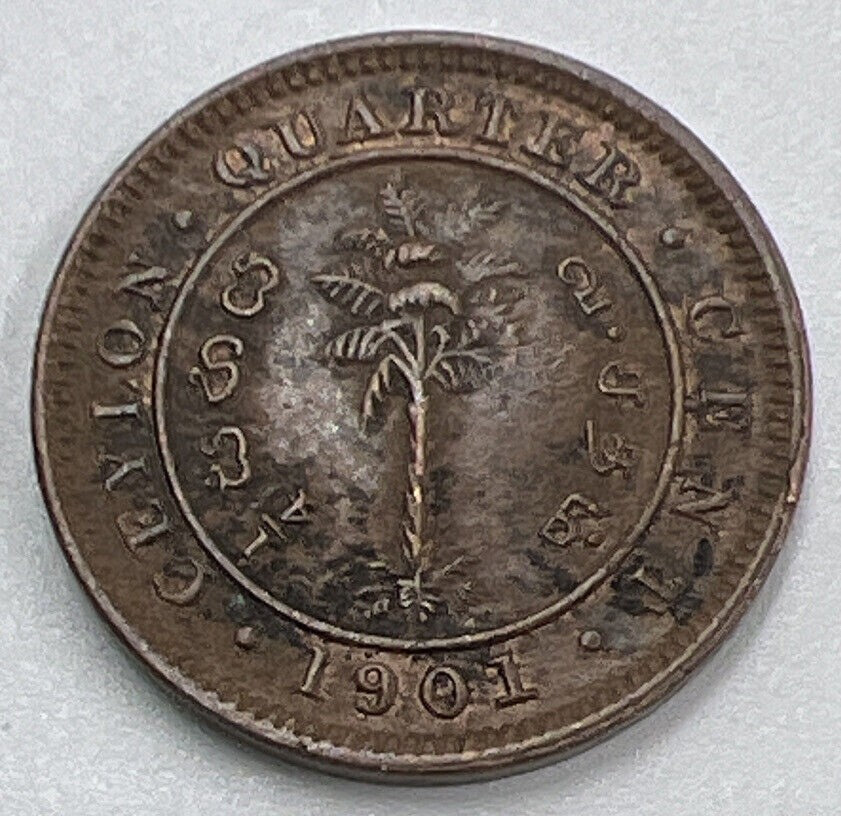 1901 Ceylon 1/4 Quarter Cent Coin | Fine Collectable Grade