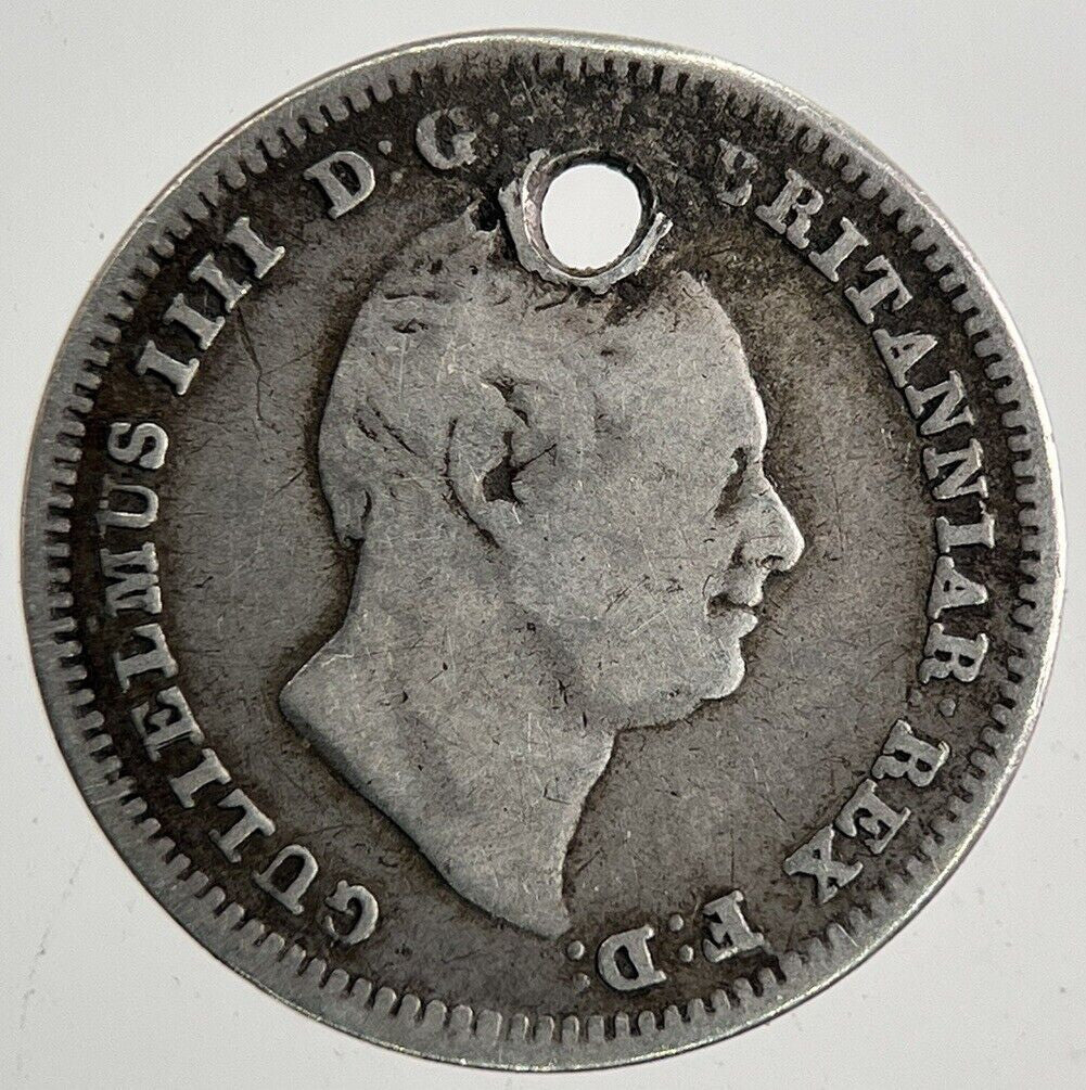 1836 William IV Four - Pence Groat Silver Coin | Fine Collectable Grade | a9607