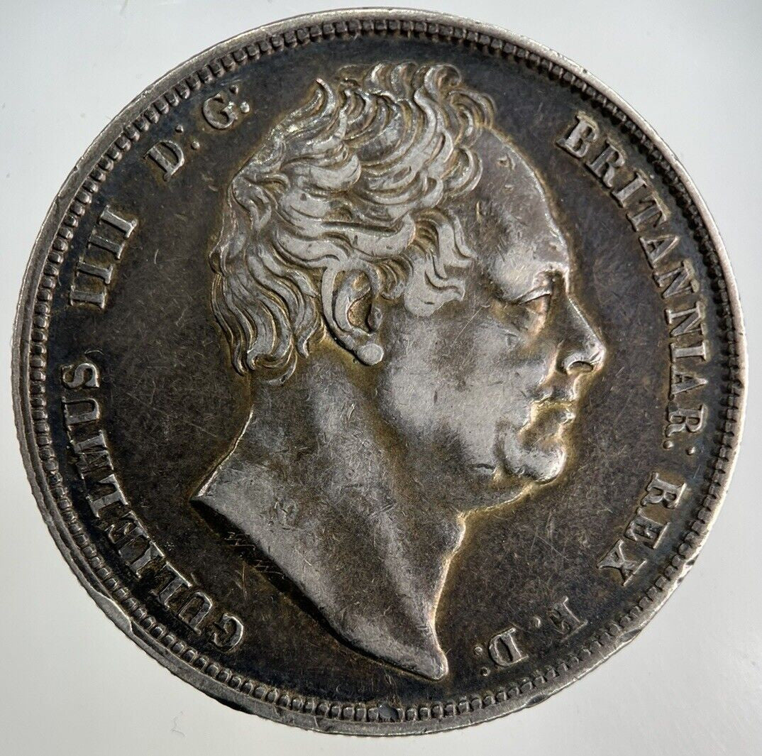 1836 William IV Half - Crown Silver Coin | Very High Grade