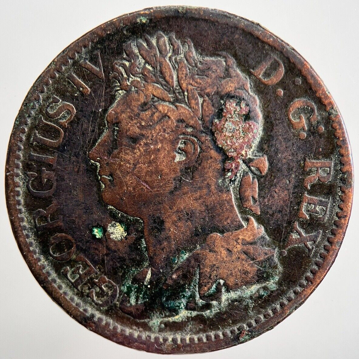 1822 George IV Irish Hibernia Half - Penny Coin | Collectable Grade | a2272