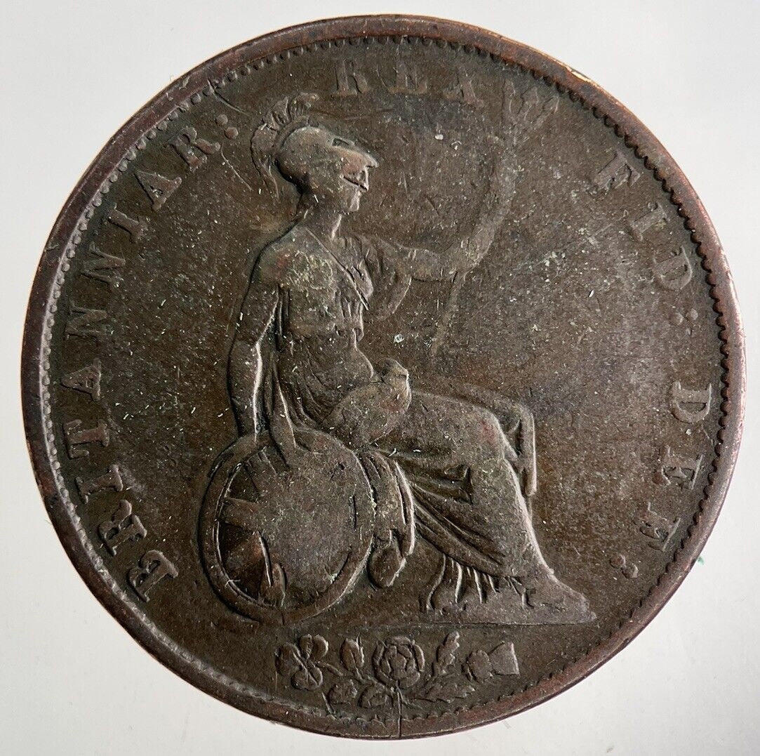 1831 William IV Half - Penny Coin | Collectable Grade