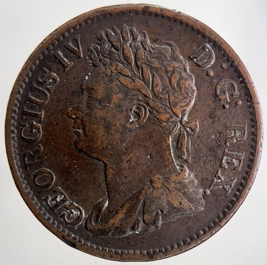 1822 George IV Irish Hibernia Half - Penny Coin | Very High Grade | a6915