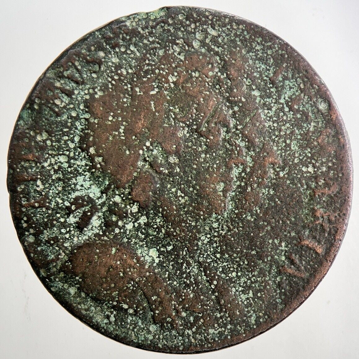 1694 William III 3rd & Mary Half - Penny Coin | Collectable Grade | a9458