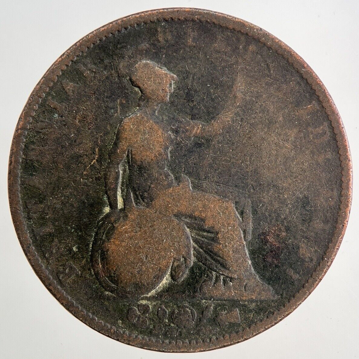 1831 William IV Half - Penny Coin | Collectable Grade