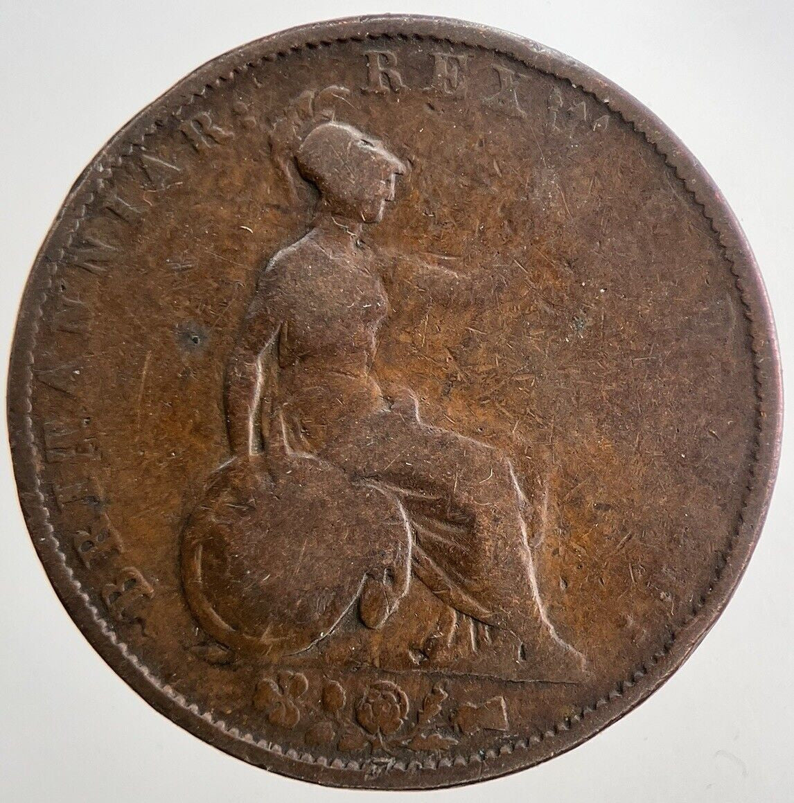 1831 William IV Half - Penny Coin | Collectable Grade | a5550