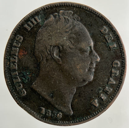 1836 William IV Farthing Coin | Collectable Grade