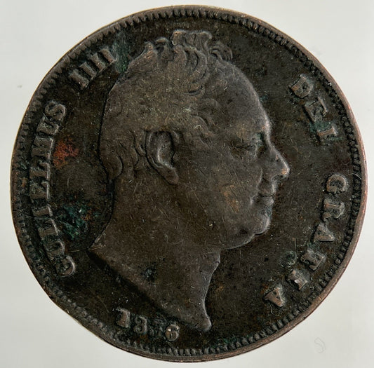 1836 William IV Farthing Coin | Collectable Grade