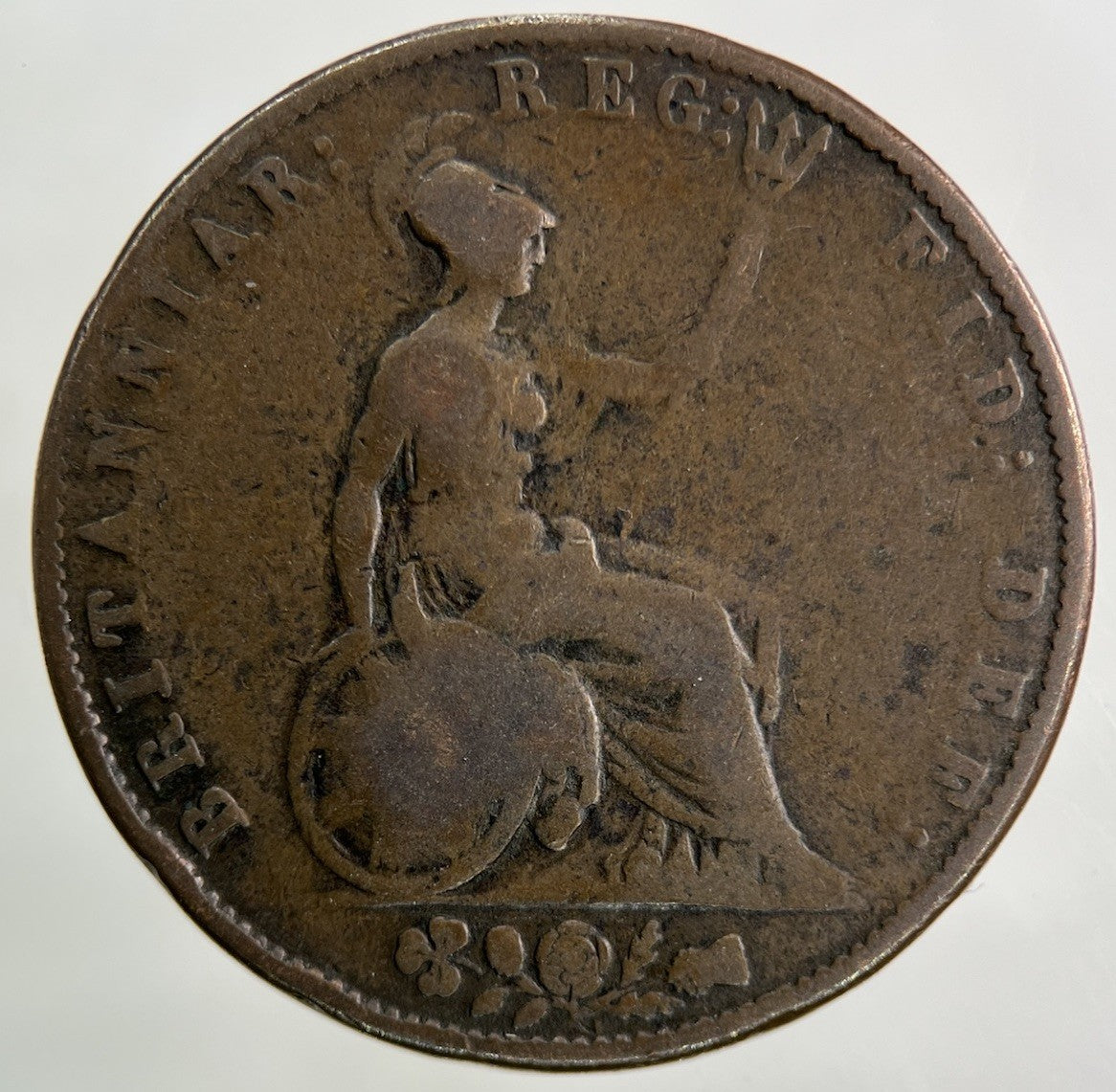 1855 Victoria Half - Penny Coin | Collectable Grade
