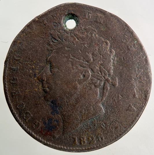 1826 George IV Half - Penny Coin | Collectable Grade