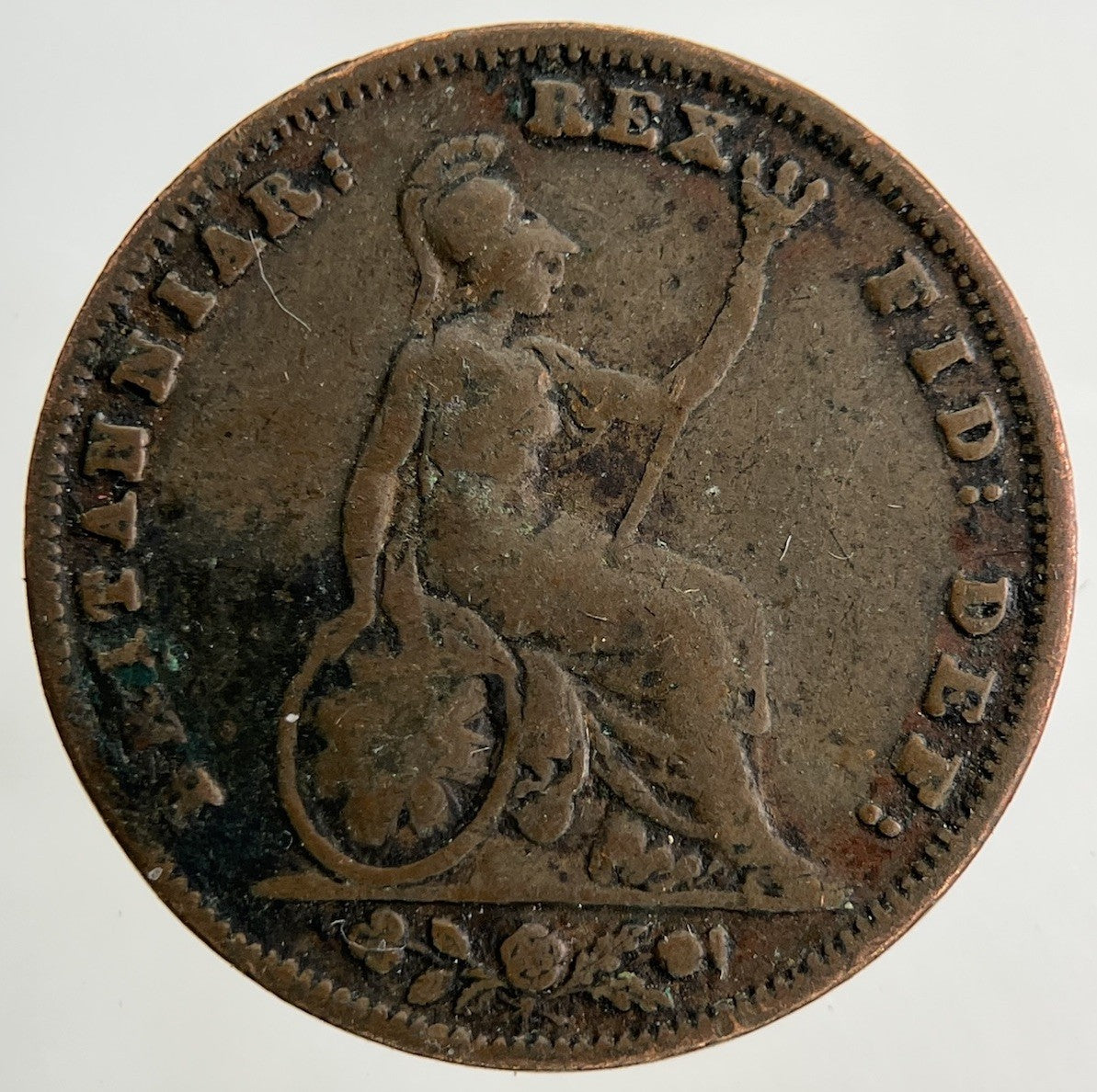 1837 William IV Farthing Coin | Collectable Grade